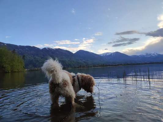 Eure schönsten Fotos mit Wasser-Beitrag-Bild