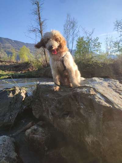 Eure schönsten Fotos mit Wasser-Beitrag-Bild