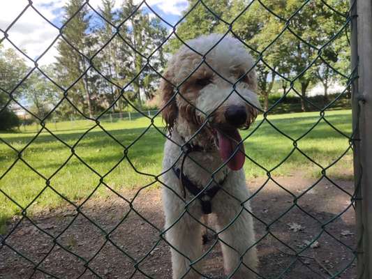 68. Handy Foto Challenge: "Ins Netz gegangen"-Beitrag-Bild