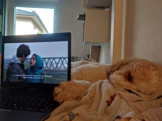 23. Farben / Fotochallenge - Türkis --Beitrag-Bild