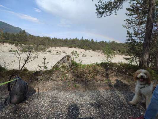 32. Farben Challenge  ** ( BUNTE ) STREIFEN **-Beitrag-Bild