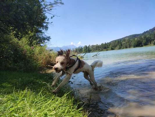 17. Kurzgeschichten Challenge: Schietwetter-Beitrag-Bild