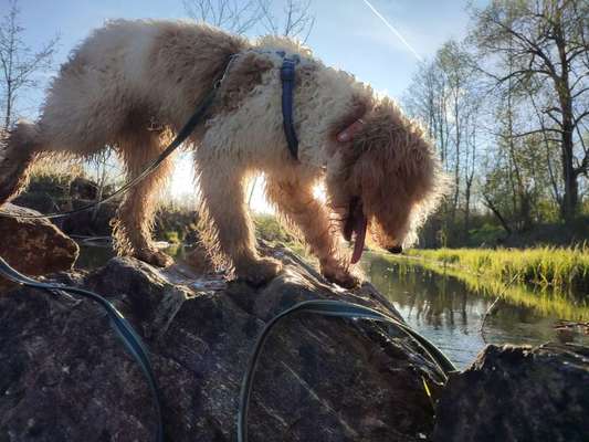 Eure schönsten Fotos mit Wasser-Beitrag-Bild