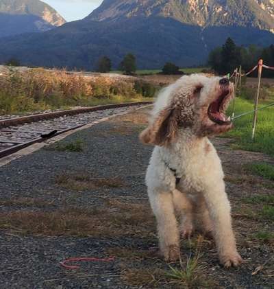 69. Handy-Fotochallenge: Soundtrack-Beitrag-Bild