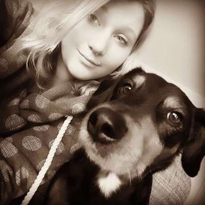 Hundetreffen-Wir suchen Freundliche menschen und Hunde-Profilbild