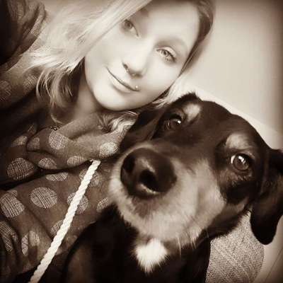 Hundetreffen-Wir suchen Freundliche menschen und Hunde