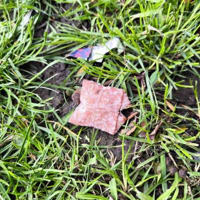 Giftköder-Giftköder! Salami mit Garn-Bild