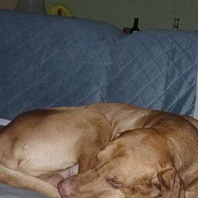 Wie habt ihr den Silvesterabend verbracht?-Beitrag-Bild