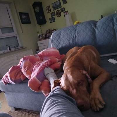 Wie habt ihr den Silvesterabend verbracht?-Beitrag-Bild