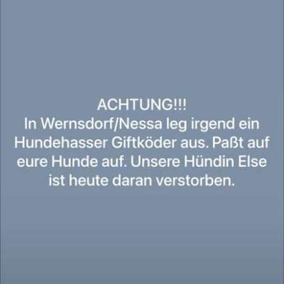 Giftköder-Giftköder-Bild