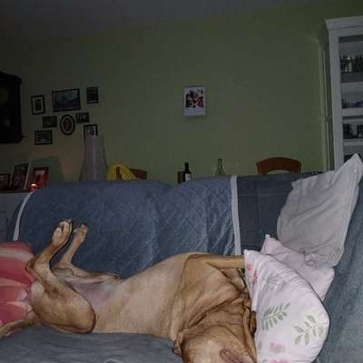 Wie habt ihr den Silvesterabend verbracht?-Beitrag-Bild