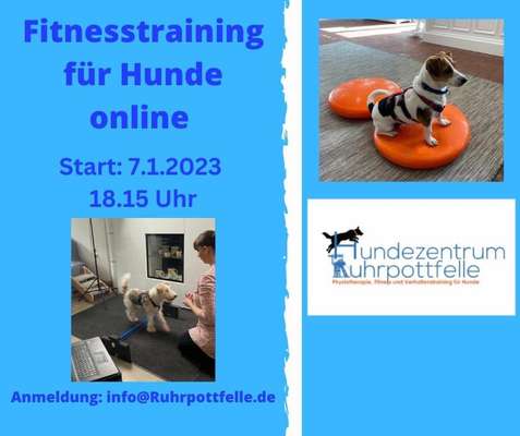 Giftköder-Online Fitnesstraining für Hunde-Bild