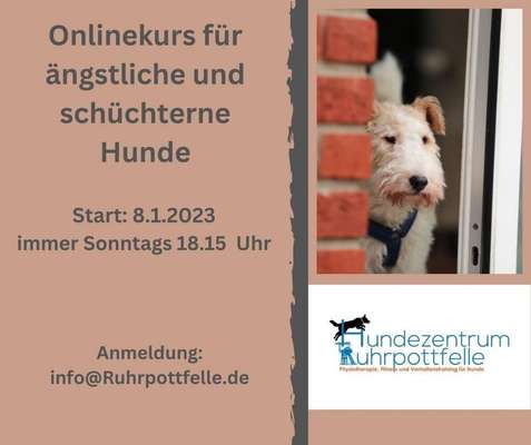 Giftköder-Onlinekurs für ängstliche Hunde-Bild