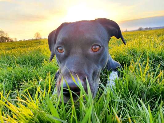 Fotochallange Nr. 57     PORTRÄT.   Beendet!!!!!!!!-Beitrag-Bild