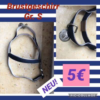 Hundezubehör-Beitrag-Bild