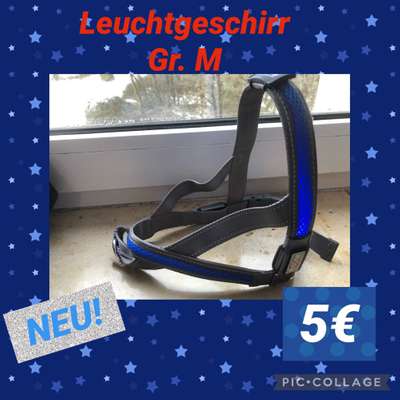 Hundezubehör-Beitrag-Bild