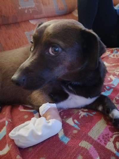 Fotochallange Nr. 57     PORTRÄT.   Beendet!!!!!!!!-Beitrag-Bild