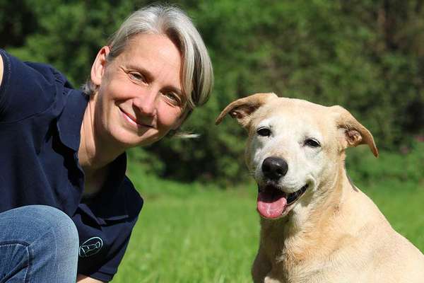 Hundeschulen-Petricks Hundeschule-Bild