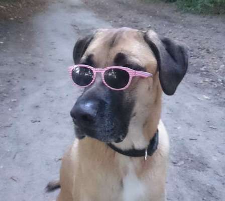 Fotochallange Nr. 57     PORTRÄT.   Beendet!!!!!!!!-Beitrag-Bild