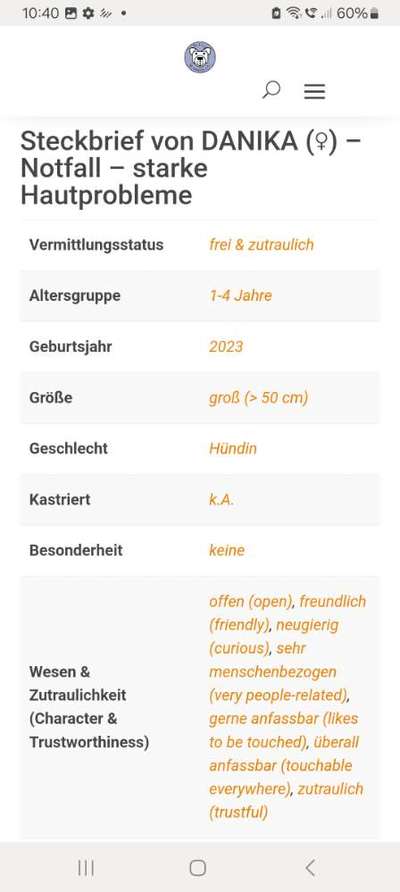 Tierschutzhunde suchen ein Zuhause-Beitrag-Bild