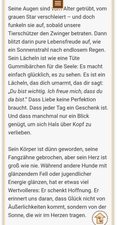 Tierschutzhunde suchen ein Zuhause-Beitrag-Bild