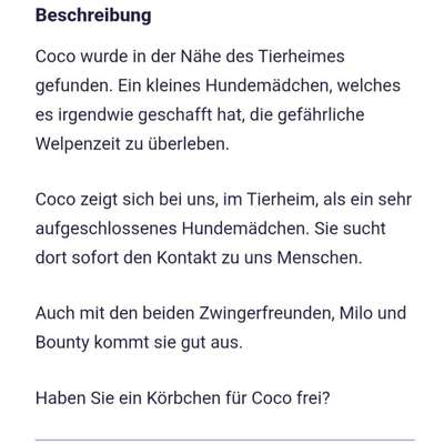Tierschutzhunde suchen ein Zuhause-Beitrag-Bild