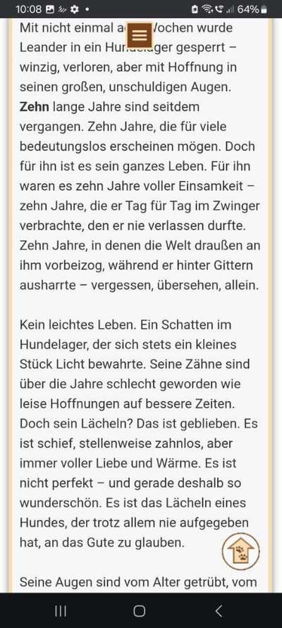 Tierschutzhunde suchen ein Zuhause-Beitrag-Bild