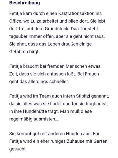 Tierschutzhunde suchen ein Zuhause-Beitrag-Bild