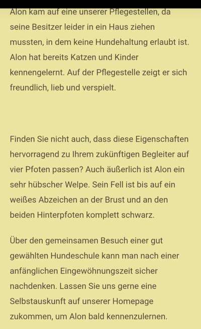 Tierschutzhunde suchen ein Zuhause-Beitrag-Bild