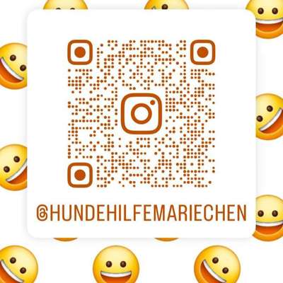 Tierschutzhunde suchen ein Zuhause-Beitrag-Bild