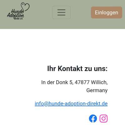 Tierschutzhunde suchen ein Zuhause-Beitrag-Bild