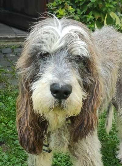 Fotochallange Nr. 57     PORTRÄT.   Beendet!!!!!!!!-Beitrag-Bild