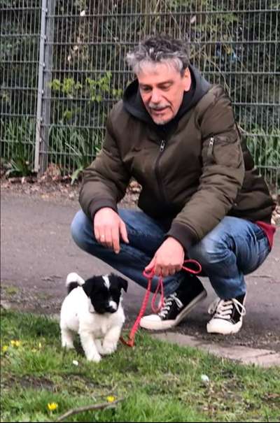 Welpen Bilder !-Beitrag-Bild