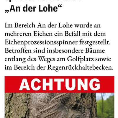 Giftköder-Eichenprozessionsspinner-Bild