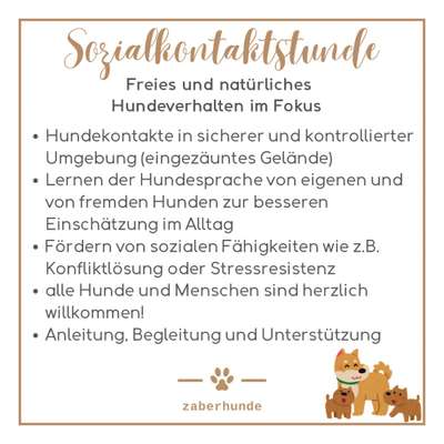 Giftköder-Sozialkontaktstunde-Bild