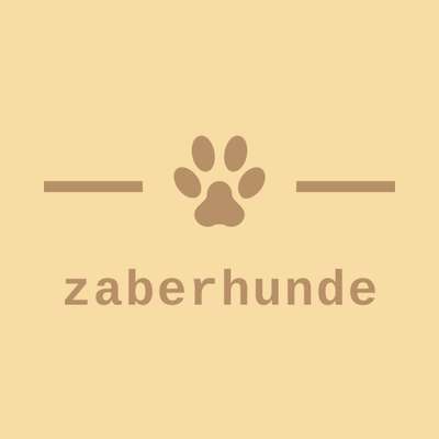 Hundeschulen-zaberhunde-Bild