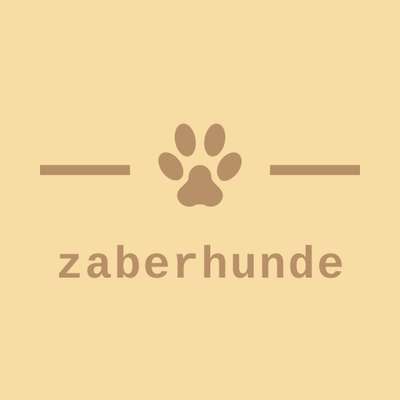 Hundeschulen-zaberhunde-Bild