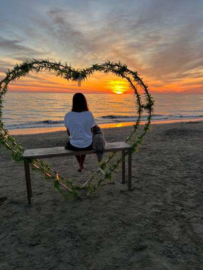 Fotowettbewerb "Liebeserklärung an deinen Hund!"-Beitrag-Bild