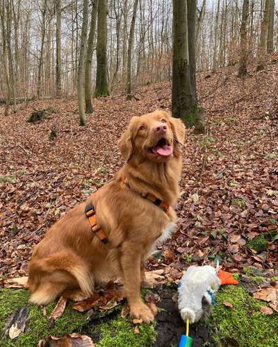 27. Handy Fotochallenge-Beitrag-Bild