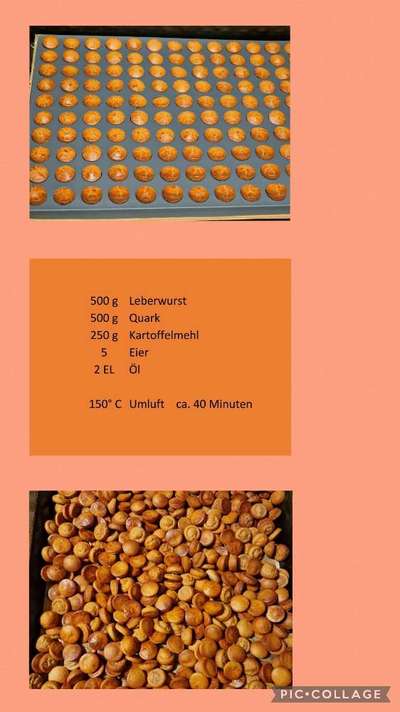 Heute gibt es.....der "ich mach die Leckerlis-Selber-Thread"-Beitrag-Bild