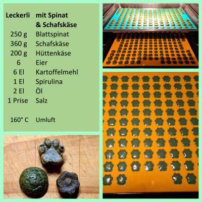 Heute gibt es.....der "ich mach die Leckerlis-Selber-Thread"-Beitrag-Bild