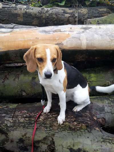 Foto Challenge Nr. 79-Beitrag-Bild