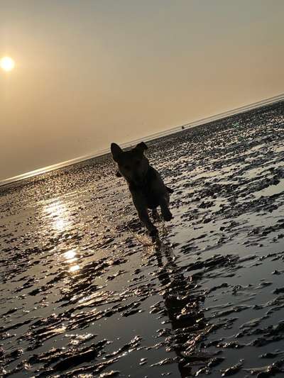 Lieblingsbild-Beitrag-Bild