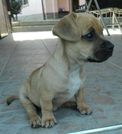 Sie werden so schnell erwachsen ...-Beitrag-Bild