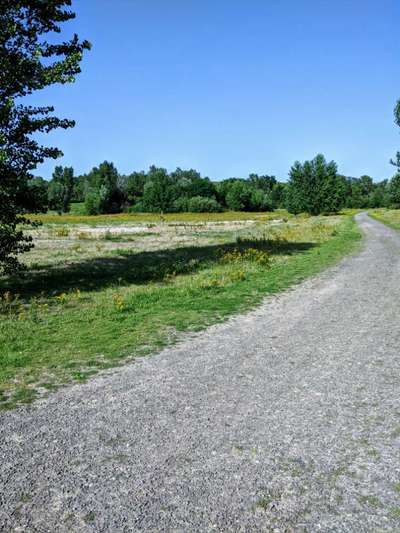 Hundeauslaufgebiet-Deponie Rheingönheim-Bild