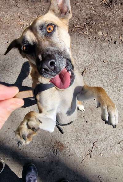 Lustige Grimassen & verrückte Posen-Beitrag-Bild