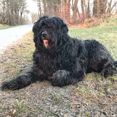 Fotowettbewerb Natur-Beitrag-Bild