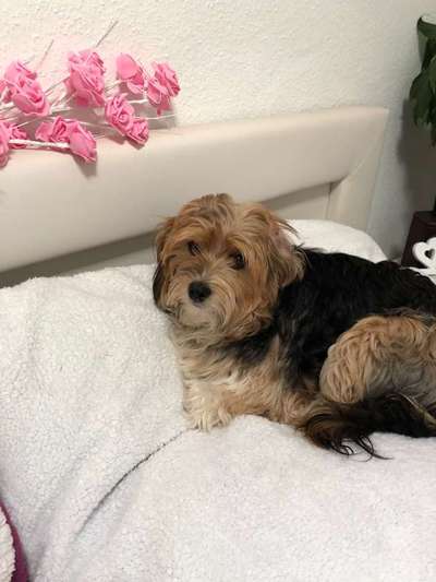 Im Bett schlafen-Beitrag-Bild