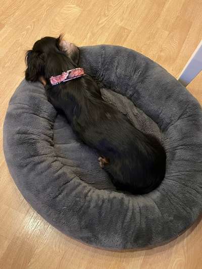 Erfahrung mit Wolkenbett-Beitrag-Bild