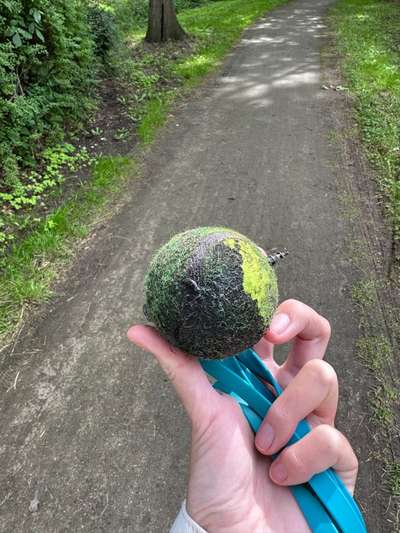 Giftköder-Ball mit Schraube-Bild
